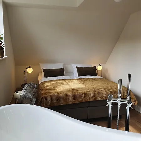 ホテル Boutique Horbach 3*